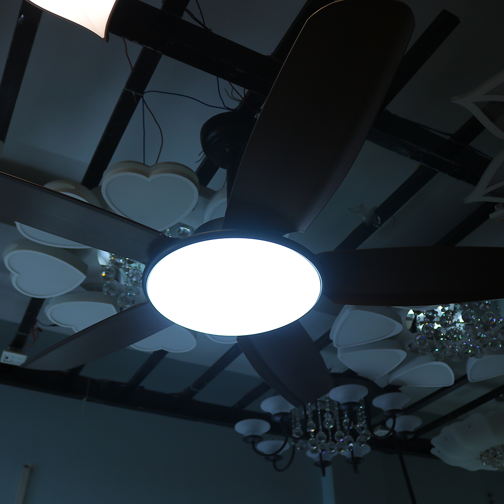 fan699-lamp