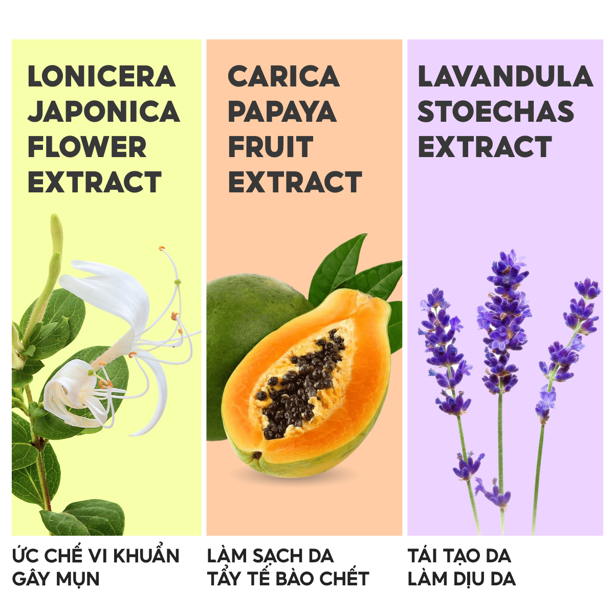 Nước tẩy trang Lalamos: Nước tẩy trang đài kim ngân hoa với chiết xuất hoa đài kim ngân hoa, đu đủ và hoa oải hương. Sản phẩm có tác dụng ức chế vi khuẩn gây mụn, làm sạch da, tẩy tế bào chết, tái tạo da và làm dịu da.  #nuoctaytrang #lalamos #kimnganhoa