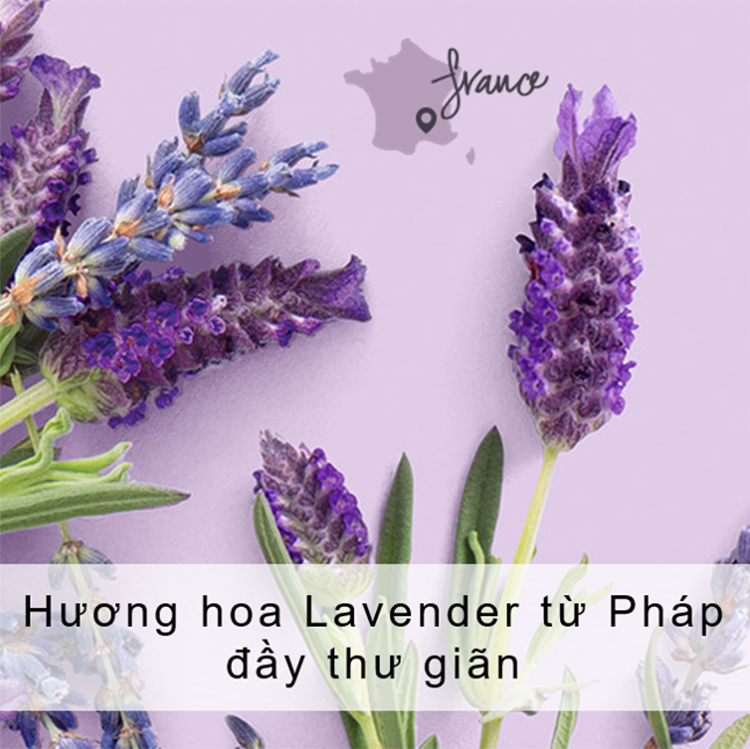 Dầu Xả Giảm Xơ Rối Love Beauty And Planet Smooth and Serene 400ml