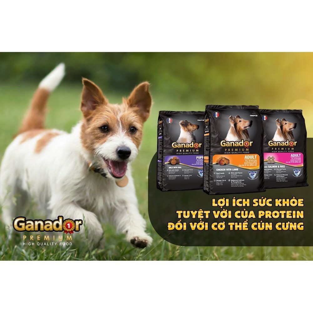 Combo 5 thức ăn cho chó trưởng thành Ganador vị cá hồi & gạo Salmon & Rice 400 gram