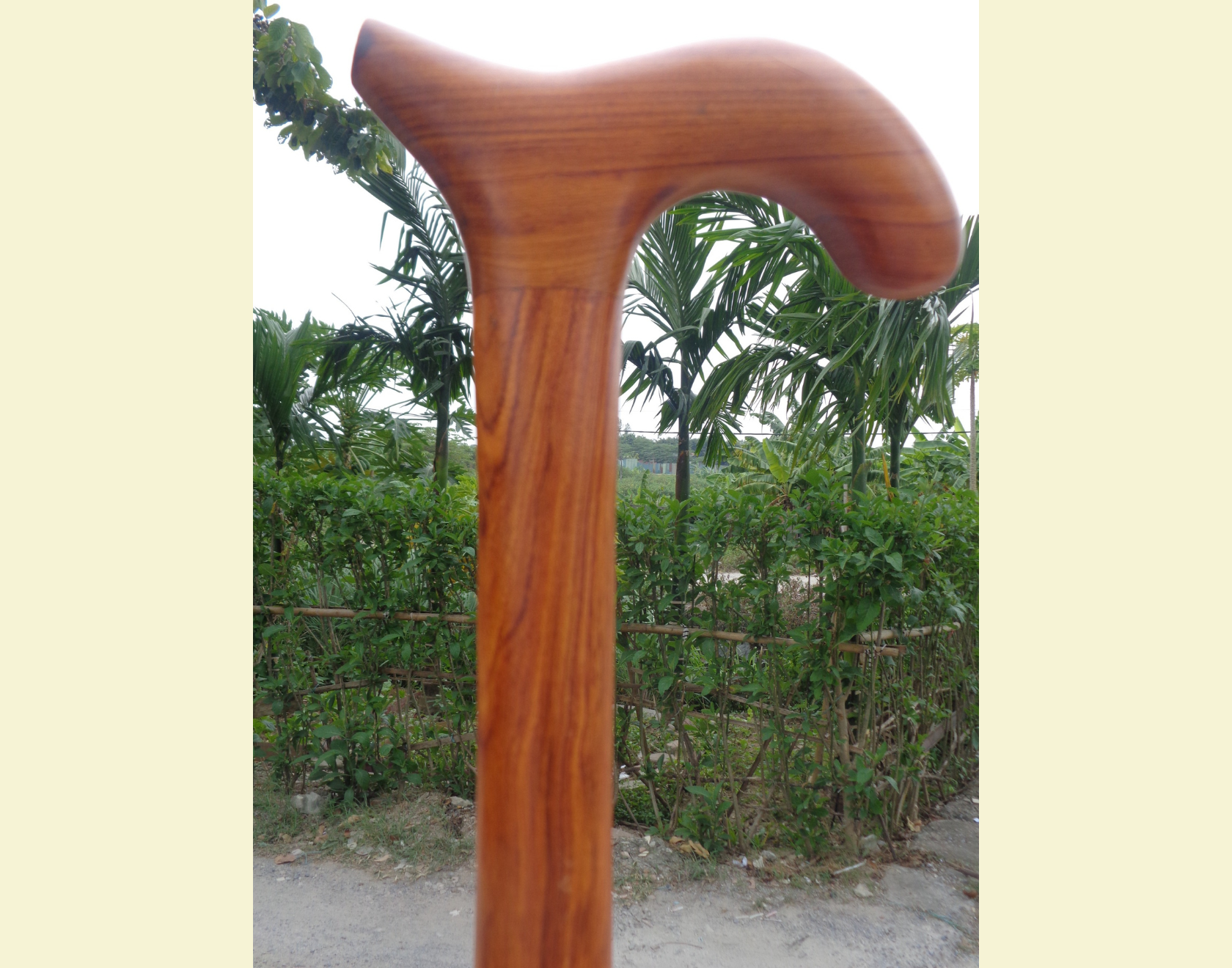 Gậy batoong chống gỗ hương