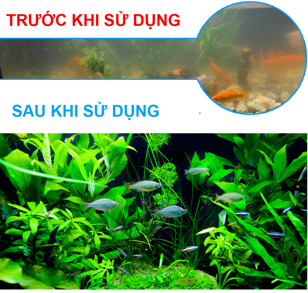 Máy lọc nước bể cá cảnh Electrical RS188 ( 12W, 800L/H) - Máy lọc chìm 
