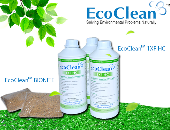 EcoClean FRESH - Vi Sinh Khử Mùi Hôi Cống, Lỗ Sàn, Đường Ống USA - Xử lý gốc rễ mùi hôi, an toàn tuyệt đối - Chai 1L