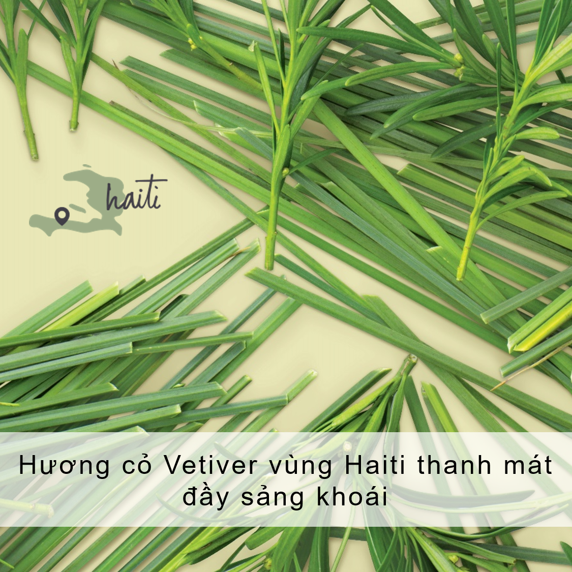 Sữa Tắm Detox  Love Beauty And Planet Pure And Positive 400ml