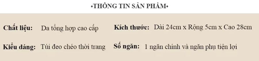 Túi Đeo Chéo Nam Thời Trang D267N (24 x 8 cm)