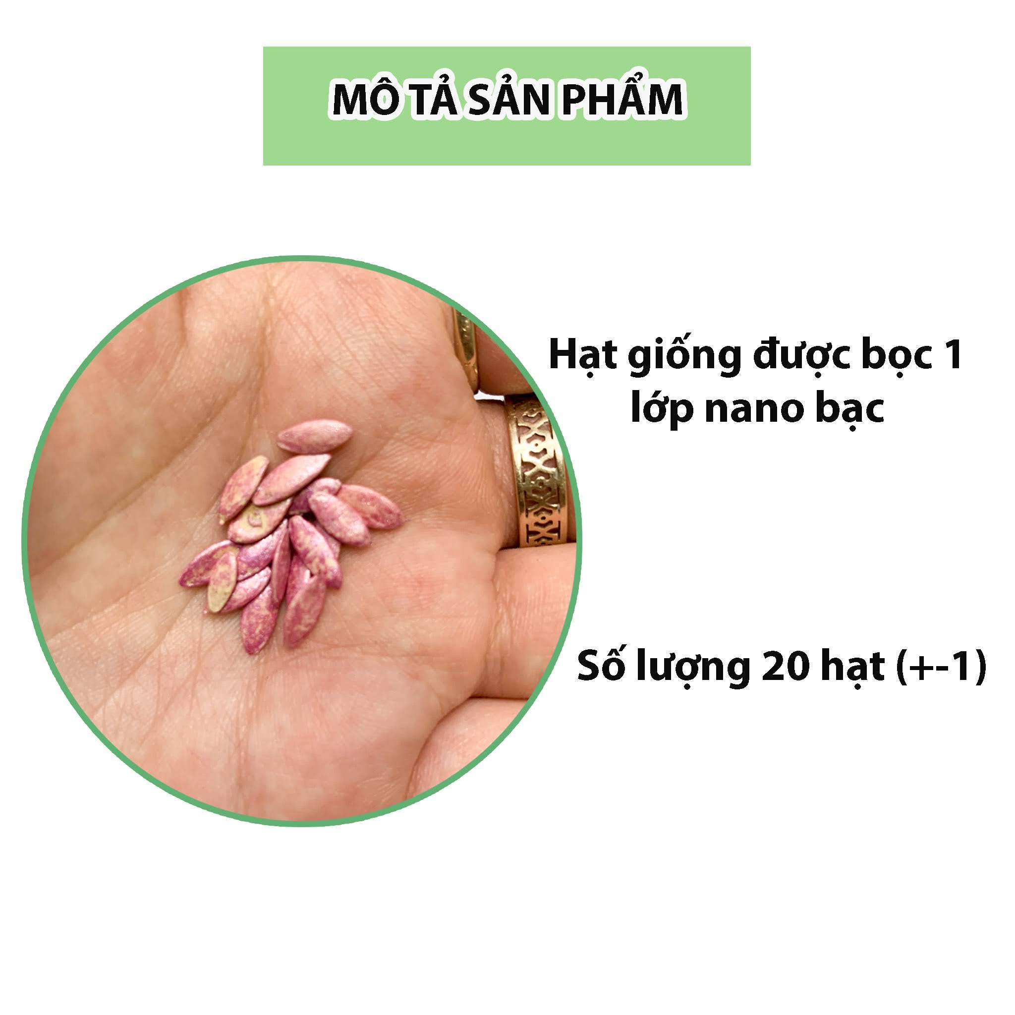 hat-giong-dua-leo-nhat-dua-chuot