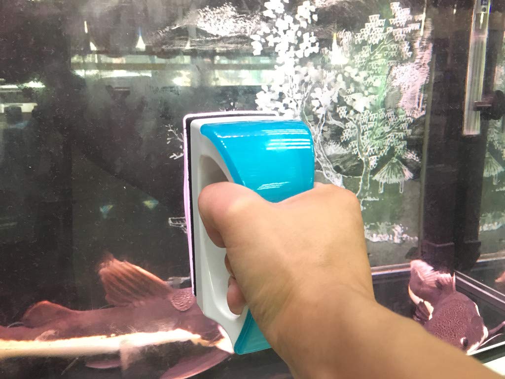 Lau kính nam châm Vipsun VS 103 (CỠ ĐẠI) - Chùi hít kiếng nam châm - Dụng cụ vệ sinh hồ cá bể cá