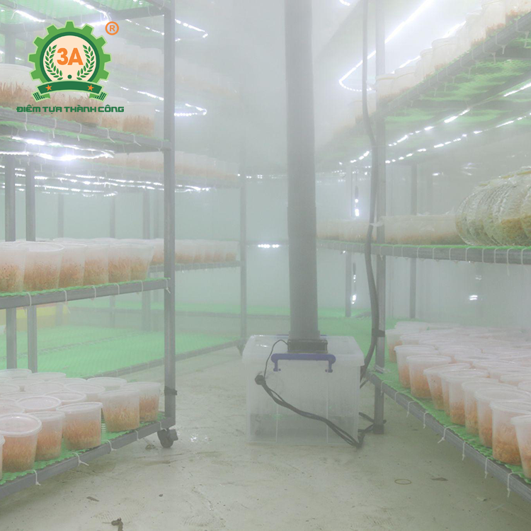 Máy tạo ẩm nhà nấm đông trùng hạ thảo 3A260W (04)