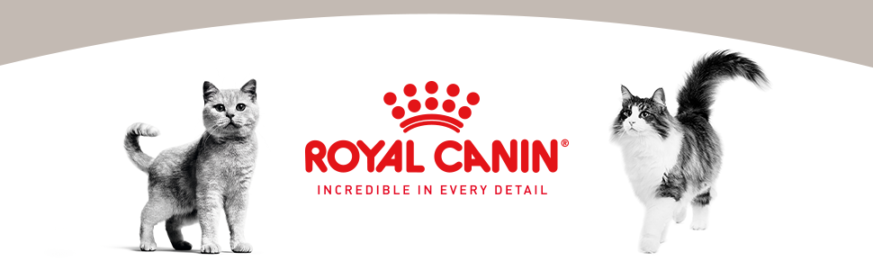 Royal Canin Gastrointestinal 85g - Thức ăn ướt hỗ trợ tiêu hóa cho mèo –  Pet Things