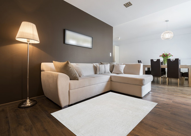 Thảm trải sàn lông xù Nhi Long N0003