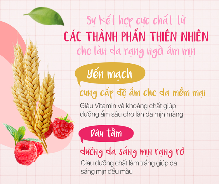 Sữa Rửa Mặt Hazeline Dưỡng Ẩm Sáng Da Yến Mạch Và Dâu Tằm (100g)