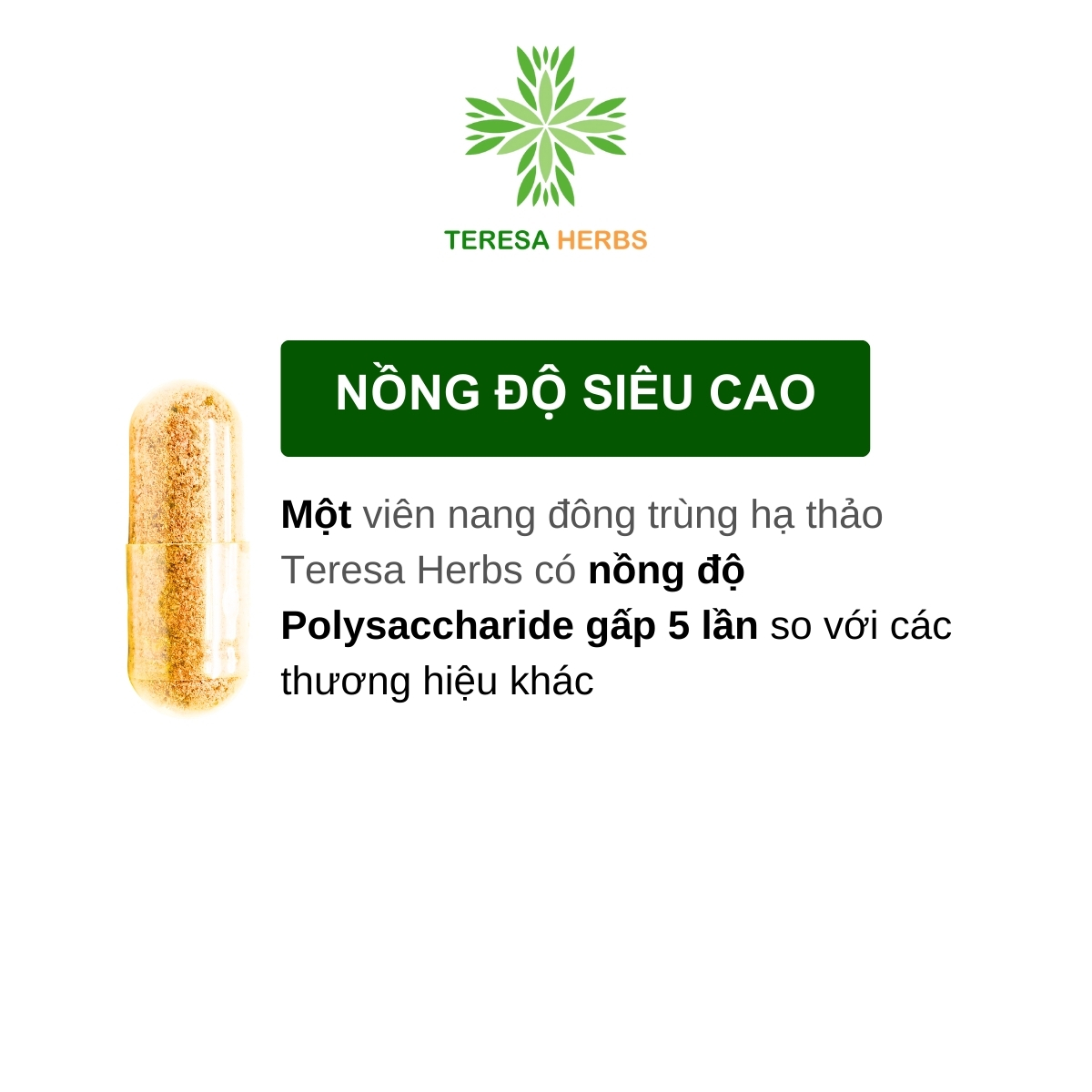 Đông Trùng Hạ Thảo Tây Tạng Teresa Herbs: Bổ Thận, Bổ Phổi, Bổ Tim, Tăng Cường Đề Kháng 60 viên