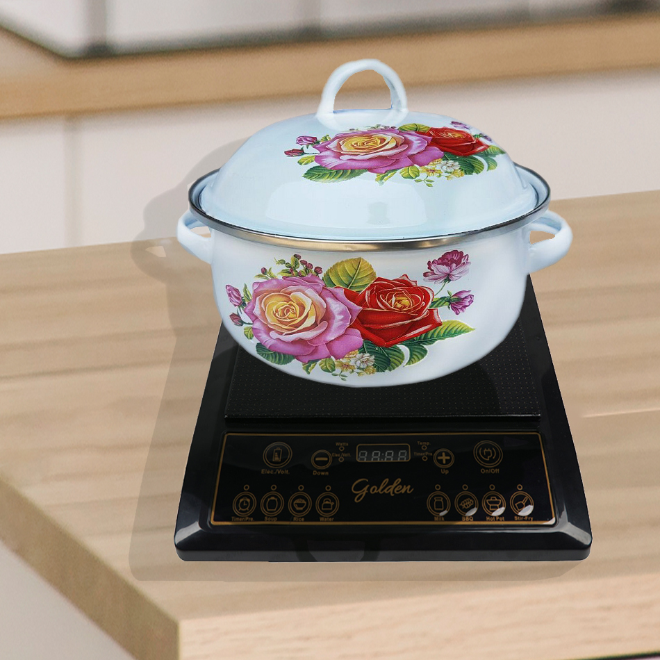 Bếp từ đơn Golden Al36