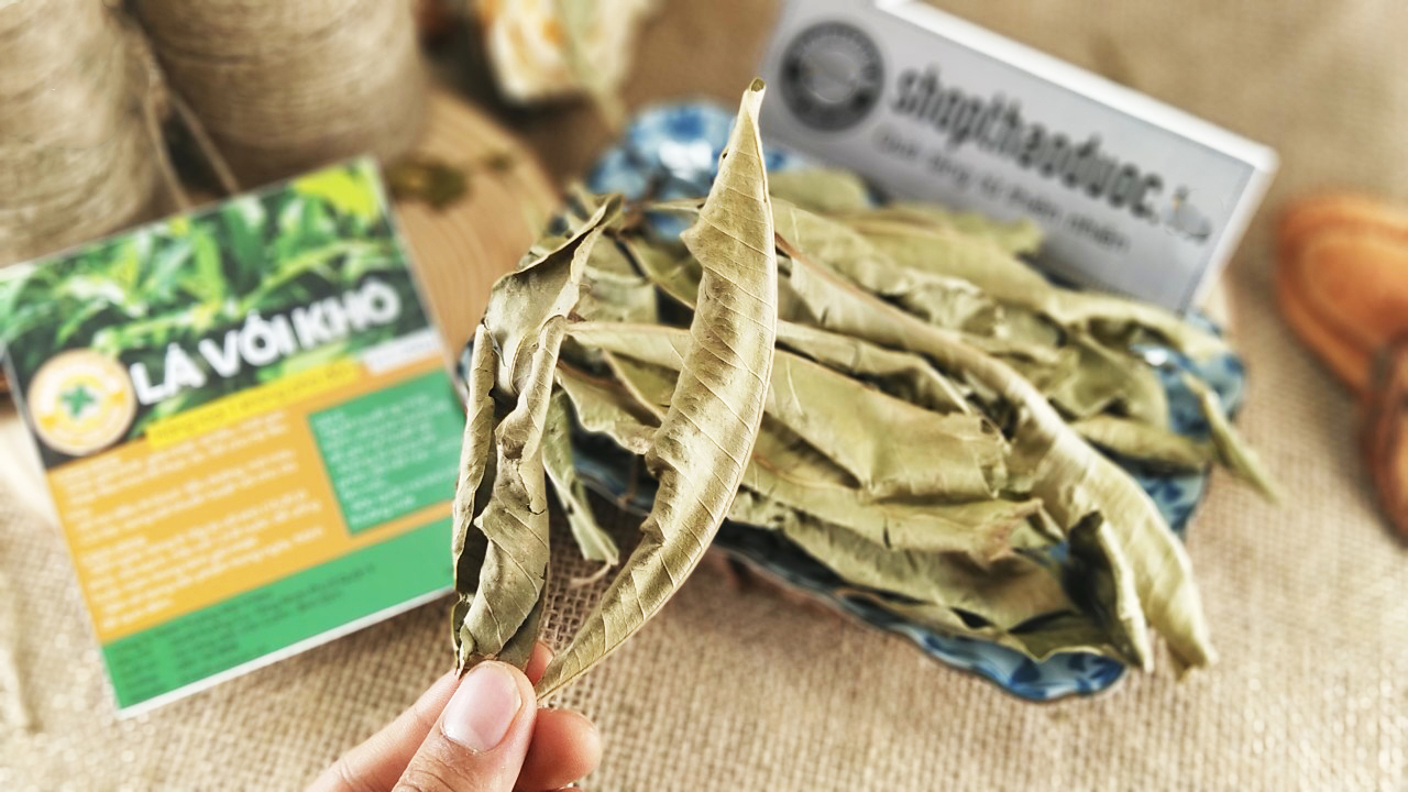Lá Vối Khô Shop Thảo Dược Gói 250G - Hỗ Trợ Giảm Mỡ Máu, Gout, Thanh Nhiệt, Lợi Tiểu, Đào Thải Độc Tố