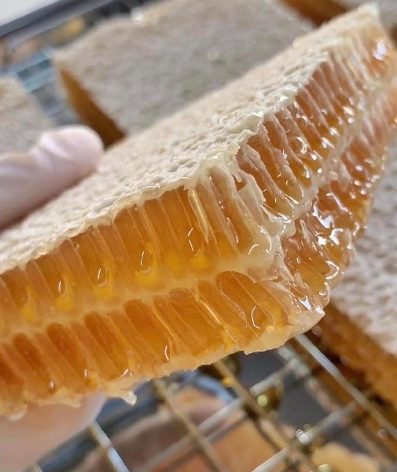 Mật Ong Bánh Tổ Thảo Mộc Hộp 600gr Loại Hoa Rừng Honeycomb 4