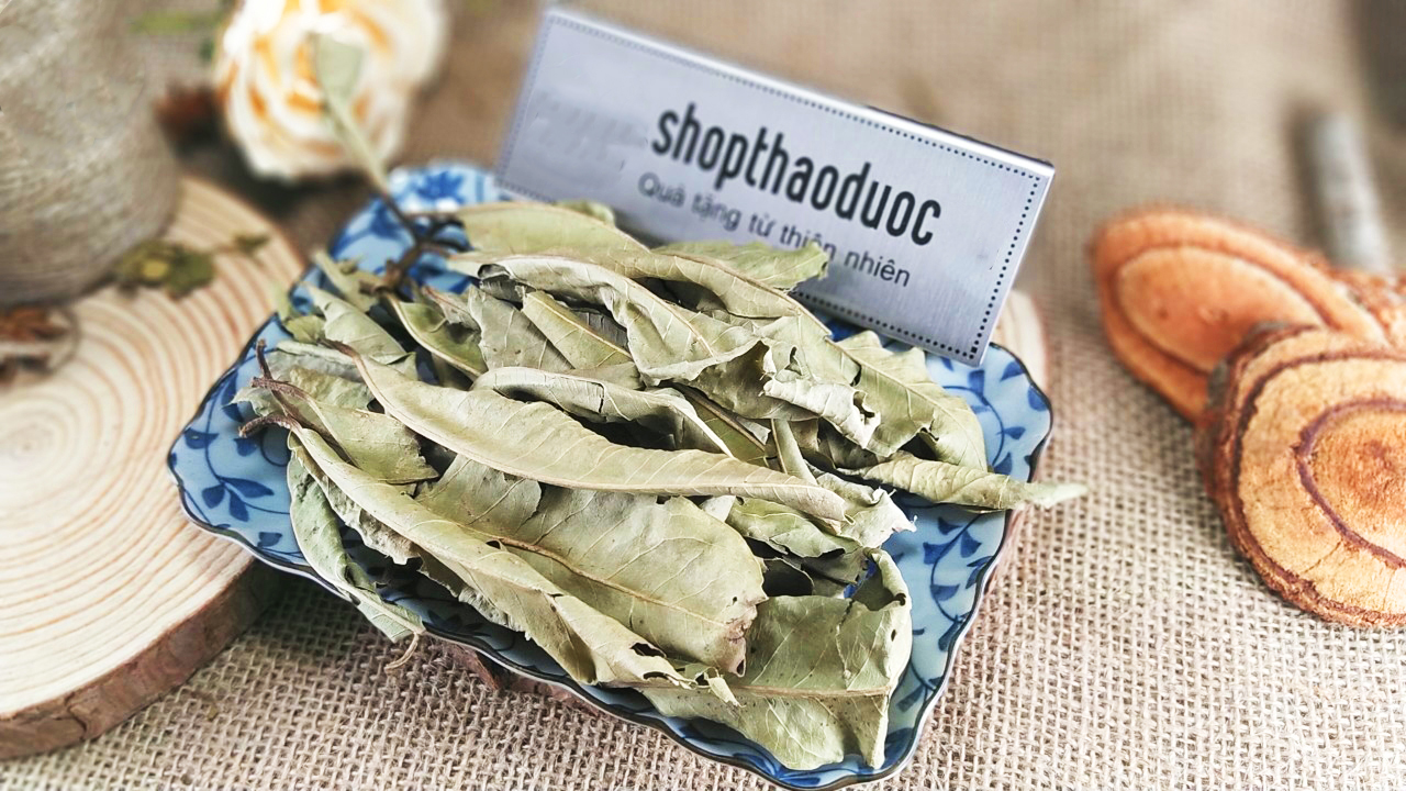 Lá Vối Khô Shop Thảo Dược Gói 250G - Hỗ Trợ Giảm Mỡ Máu, Gout, Thanh Nhiệt, Lợi Tiểu, Đào Thải Độc Tố