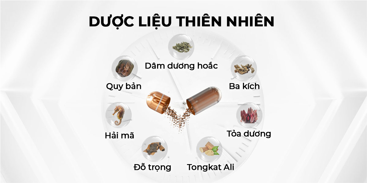 Viên uống phục hồi và tăng cường sức khỏe sinh lý nam giới Powergra (Super Gold Magic) - Vỉ dùng thử 3 viên