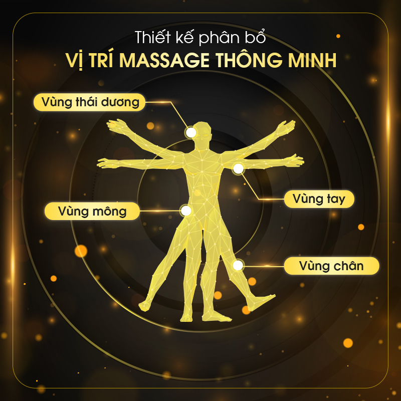 Ghế massage toàn thân Anzani D2 8