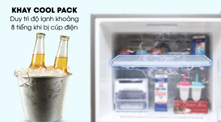 Tủ Lạnh Samsung Inverter RT43K6631SL/SV (453L)