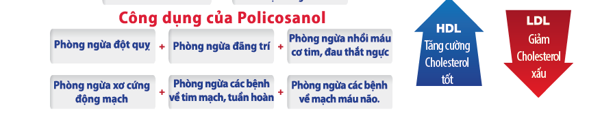 Viên uống hỗ trợ hỗ trợ giảm mỡ máu Nature's Top Active Policosanol 20mg