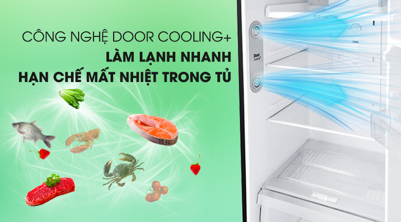 Tủ Lạnh Inverter LG GN-D315BL (315L) – Hàng Chính Hãng