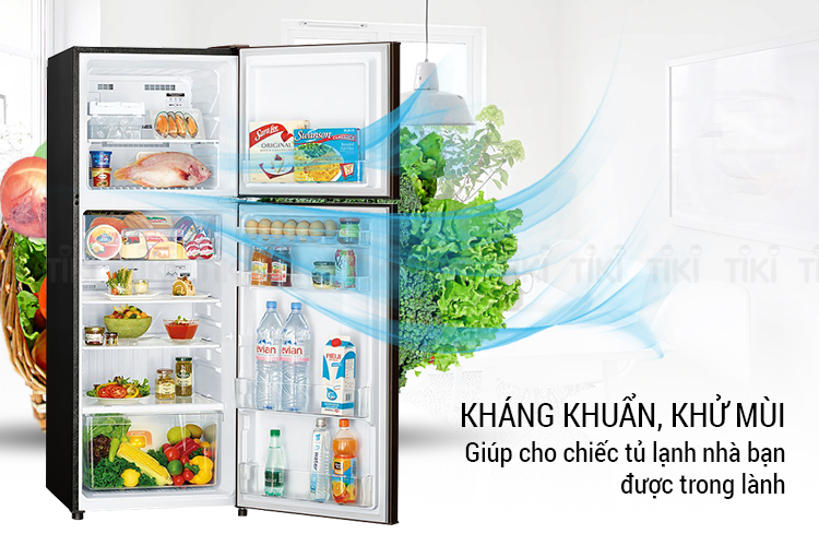 Tủ Lạnh Inverter Mitsubishi MR-FV28EJ-BR-V (231L)