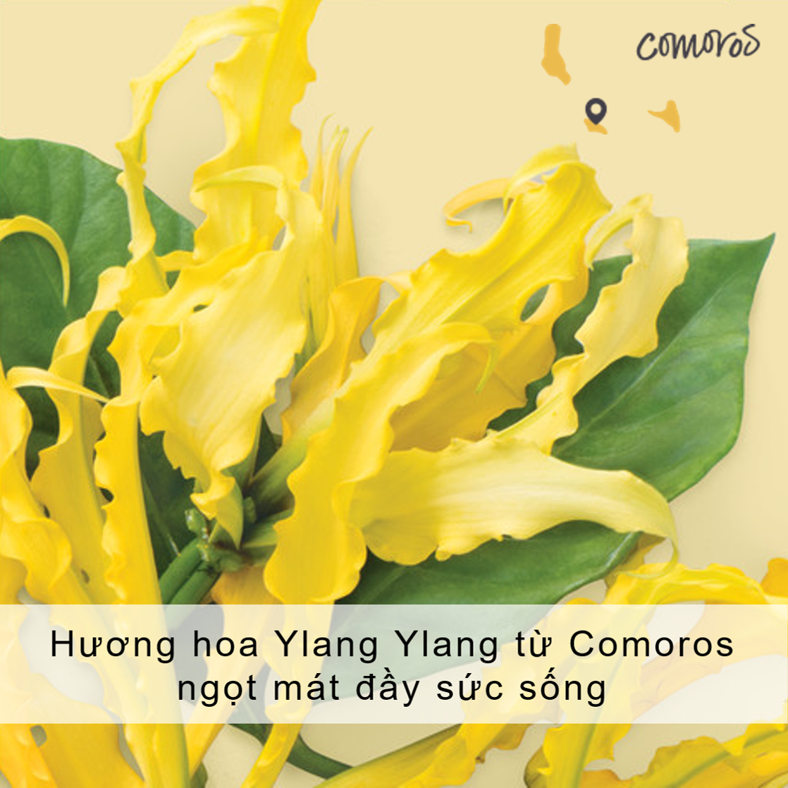 Dầu Xả Phục Hồi Hư Tổn Love Beauty And Planet Hope And Repair 400ml Dầu Xả Phục Hồi Hư Tổn Love Beauty And Planet Hope And Repair 400ml