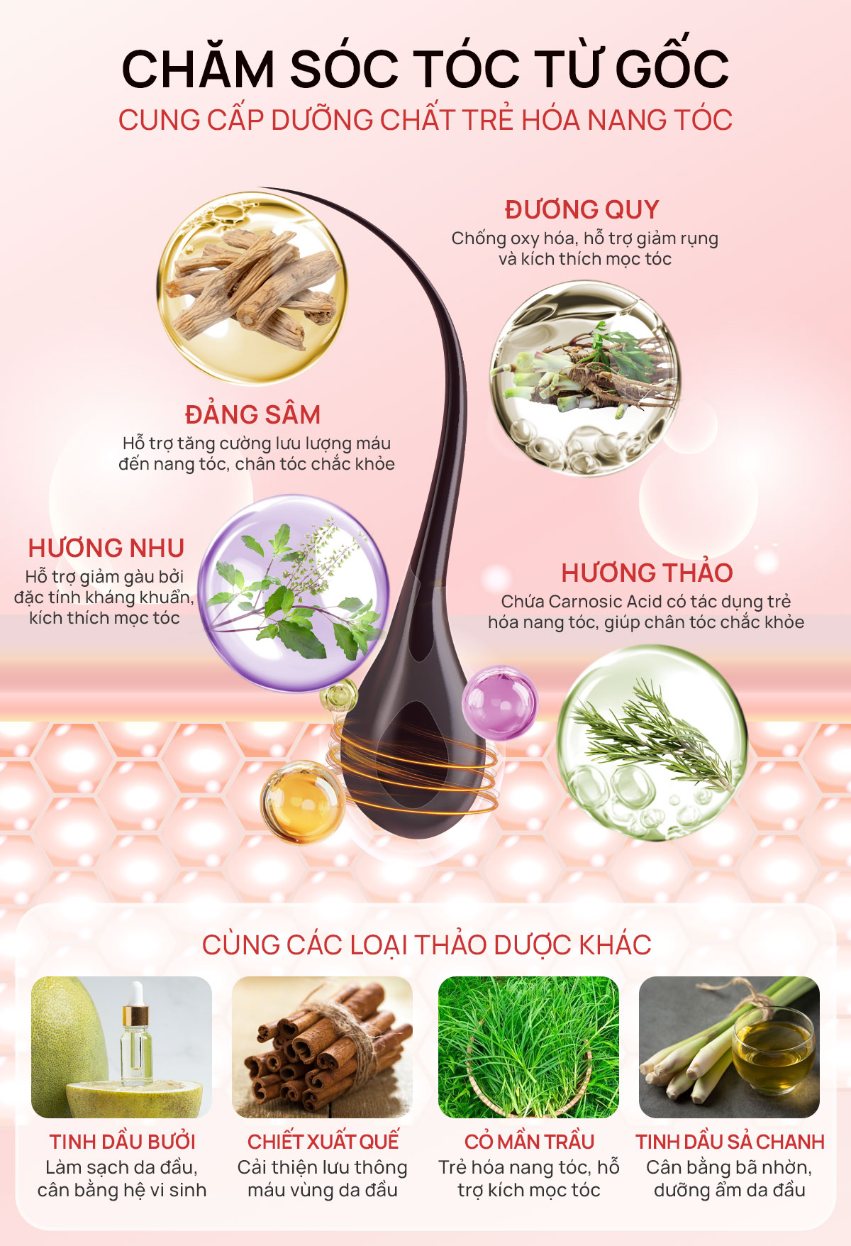 Dầu gội thảo dược Fresh Shampoo giảm rụng tóc, giảm gàu, nuôi dưỡng tóc mềm mượt và chắc khỏe từ gốc 500ml