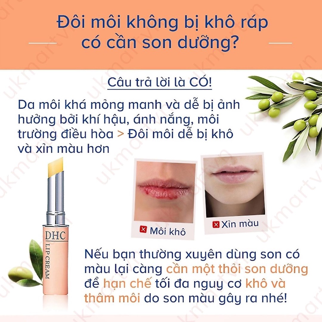 Son dưỡng môi DHC Lip Cream dưỡng ẩm, làm mềm môi 1,5g