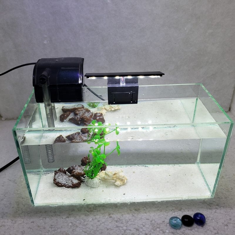 be-ca-mini