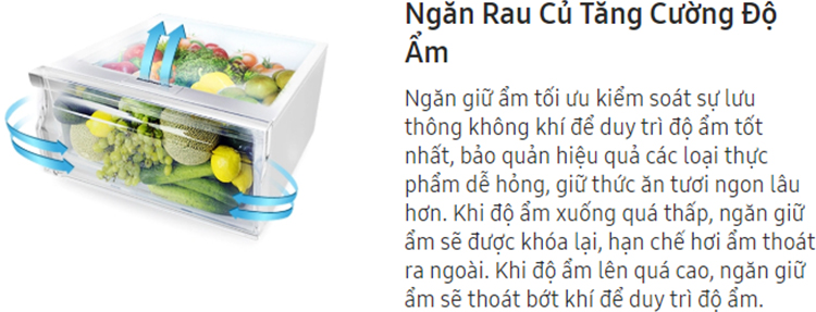 Tủ Lạnh Inverter Samsung RT25HAR4DSA/SV (255L) - Bạc - Hàng chính hãng