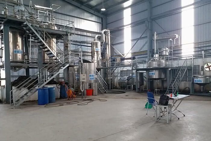 Từ cây cà gai leo đem chiết xuất cao cà gai leo (Ảnh 2)