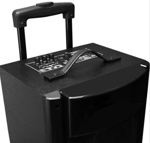 Loa Kèm Micro Không Dây Soaiy SA-T18