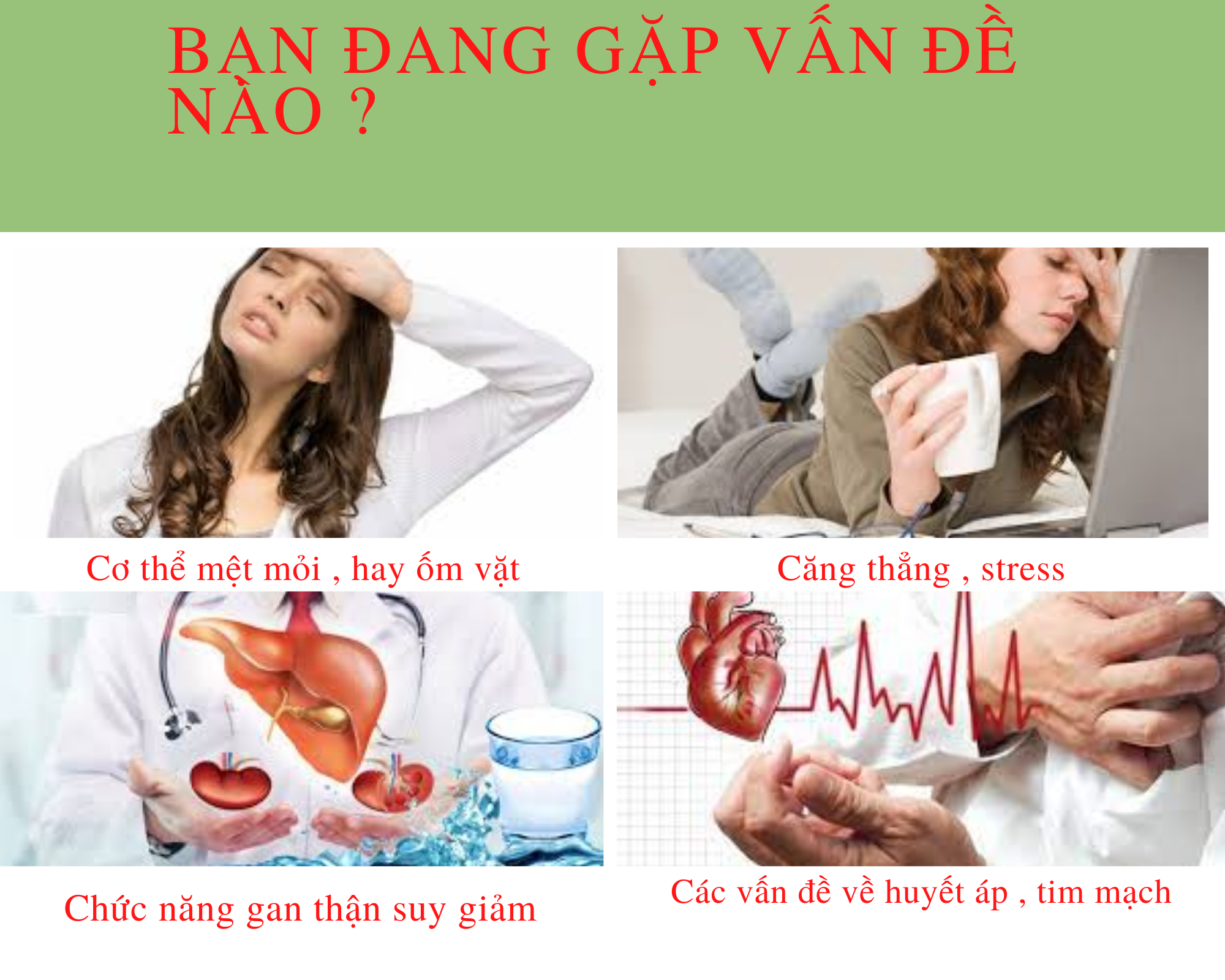 Đông trùng hạ thảo mật ong rừng Phúc Khang 300g - Hũ thủy tinh cao cấp - Công nghệ sấy thăng hoa - Chống lão hóa ,phòng ngừa ung thư ,tim mạch ,bồi bổ cơ thể ...làm quà biếu , quà tặng , bảo vệ sức khỏe