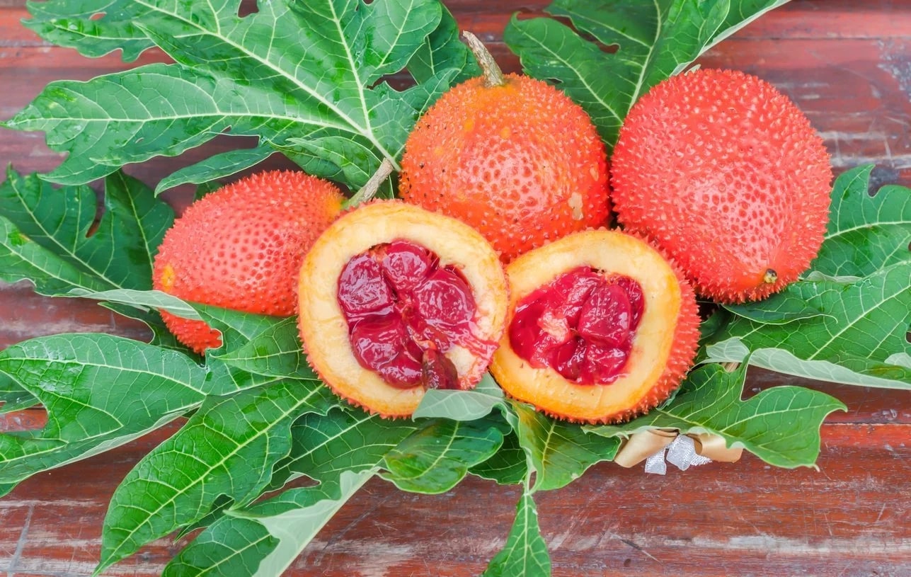 Vinaga DHA được chiết xuất từ màng hạt gấc