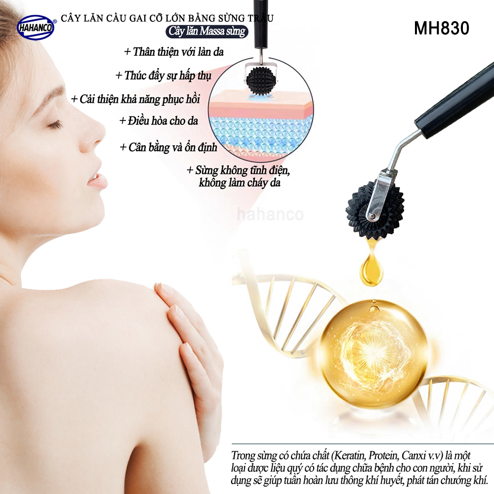 Cây lăn cầu gai bằng sừng trâu cỡ lớn đơn - Dụng cụ diện chẩn (MH830) Chăm sóc sức khỏe