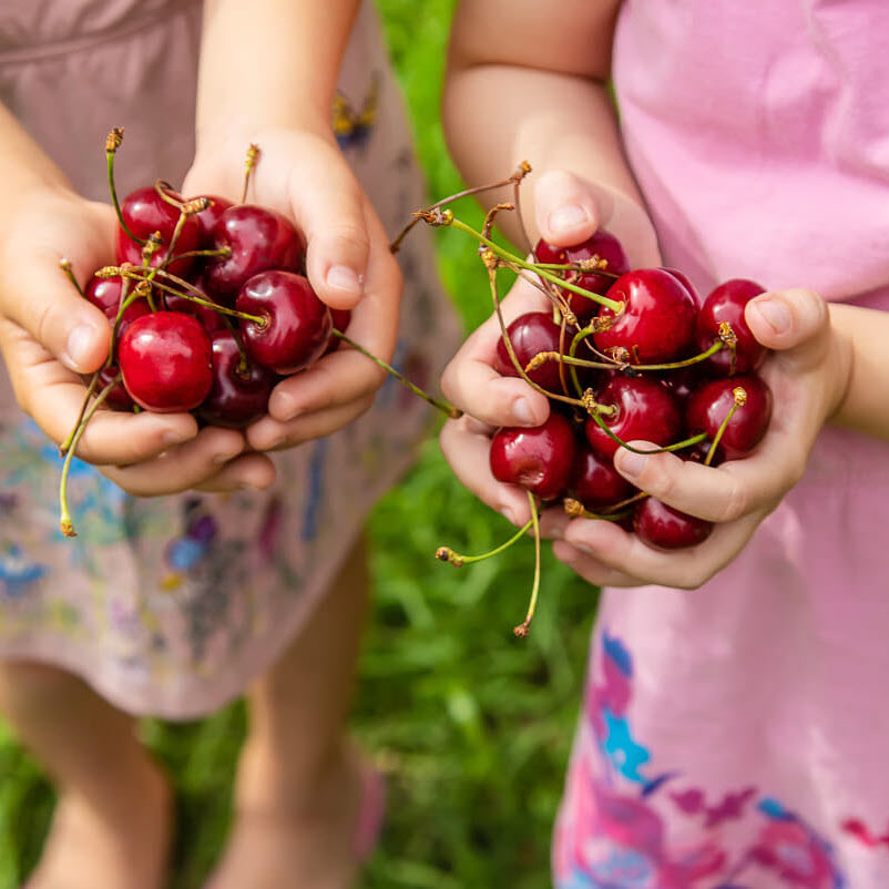 Mẹ bầu ăn quả cherry rất tốt cho thai kỳ, tuy nhiên cần lưu ý những điều này kẻo mang hại? - ảnh 4