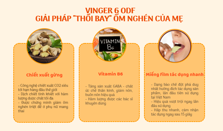 Combo 5 hộp Miếng ngậm giảm ốm nghén Vinger-6 - Liệu trình tối ưu