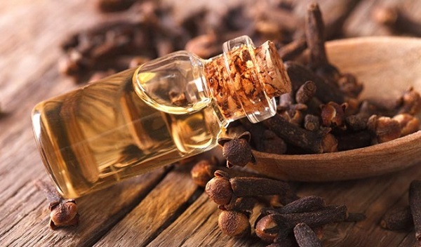 Tinh dầu Đinh Hương nguyên chất từ thiên nhiên - KingOil