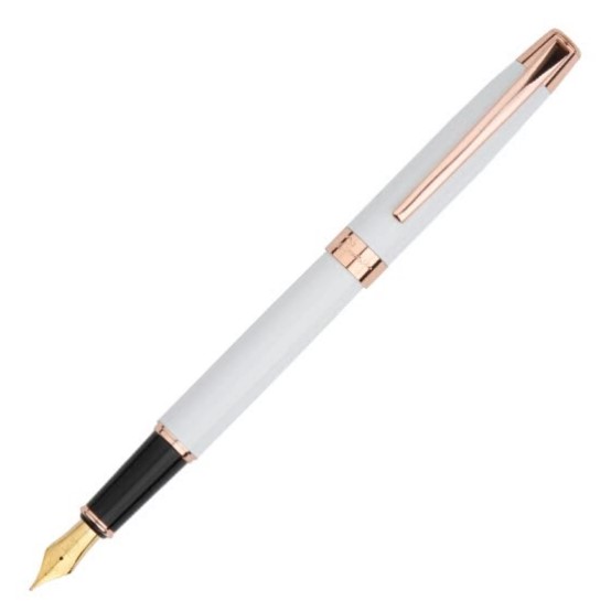 Picasso pen pen pen adult student with calligraphy pen ink pen 0.5mm Fei Diqi series 920 white