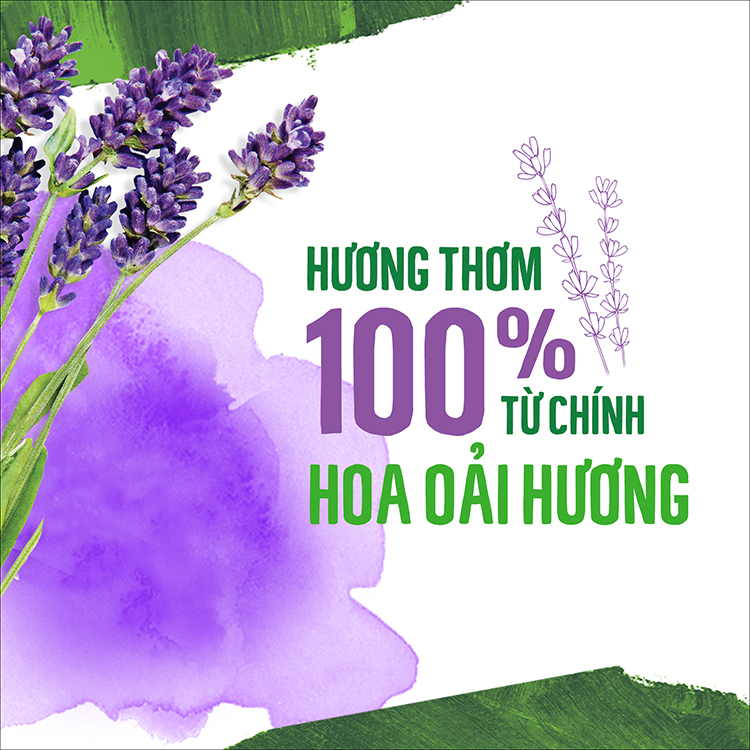 Nước giặt gốc thực vật Seventh Generation Fresh Lavender hương oải hương (700ml)