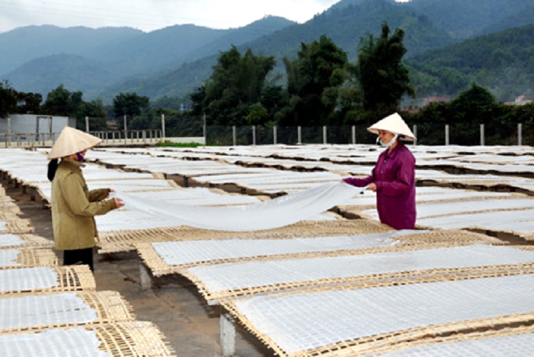 Miến dong Bắc Kạn gói 200g ,thơm ngon tự nhiên, sản xuất truyền thống, 100% từ tinh bột dong riềng không phụ gia hương liệu thực phẩm 2