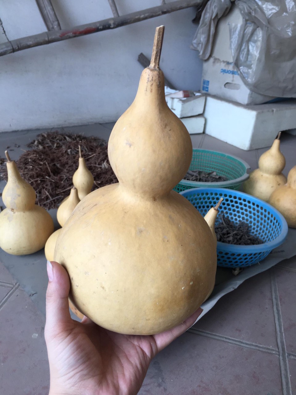 Bầu hồ lô vẽ phong cảnh Việt Nam chữ Thư pháp #16 Bầu hồ lô vẽ phong cảnh Việt Nam chữ Thư pháp