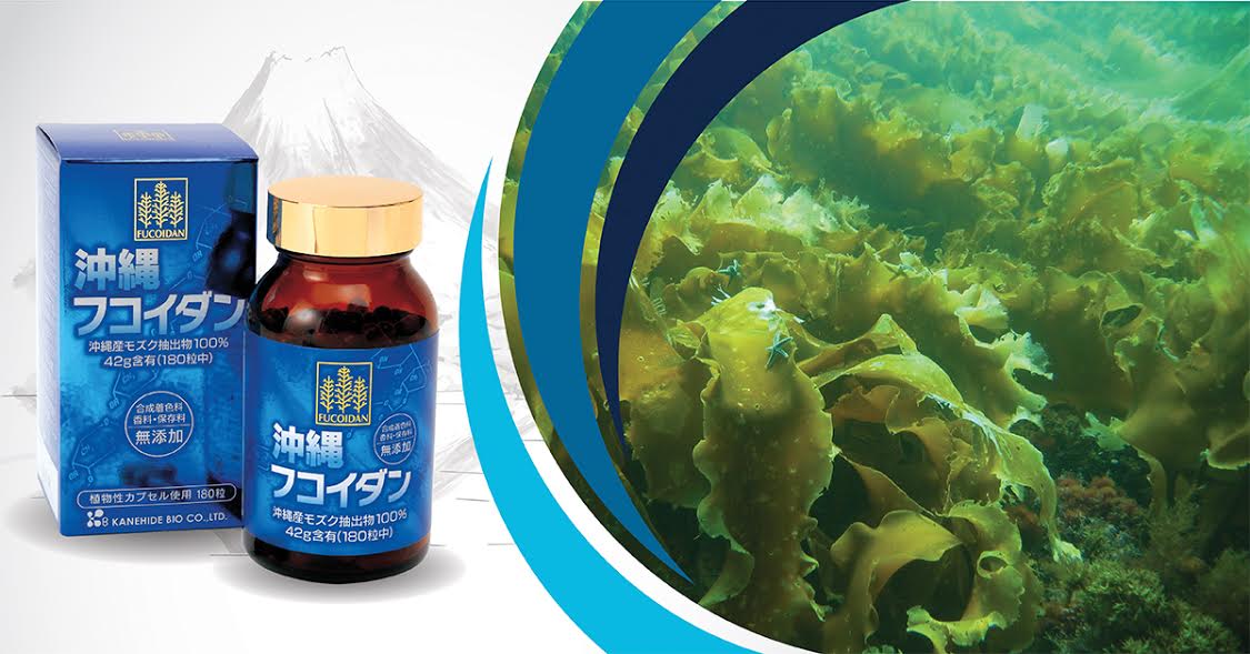 Viên Uống Kanehide Bio Fucoidan Okinawa Hộ Trợ Ức Chế Tăng Trưởng Tế Bào Ung Thư - Hộp 180 Viên