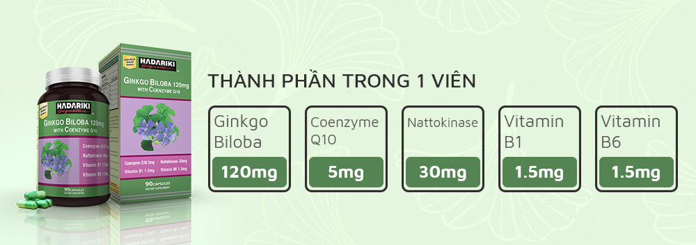 Thực Phẩm Chức Năng Thuốc Bổ Não Hadariki Ginkgo Biloba 120mg With Coenzyme Q10
