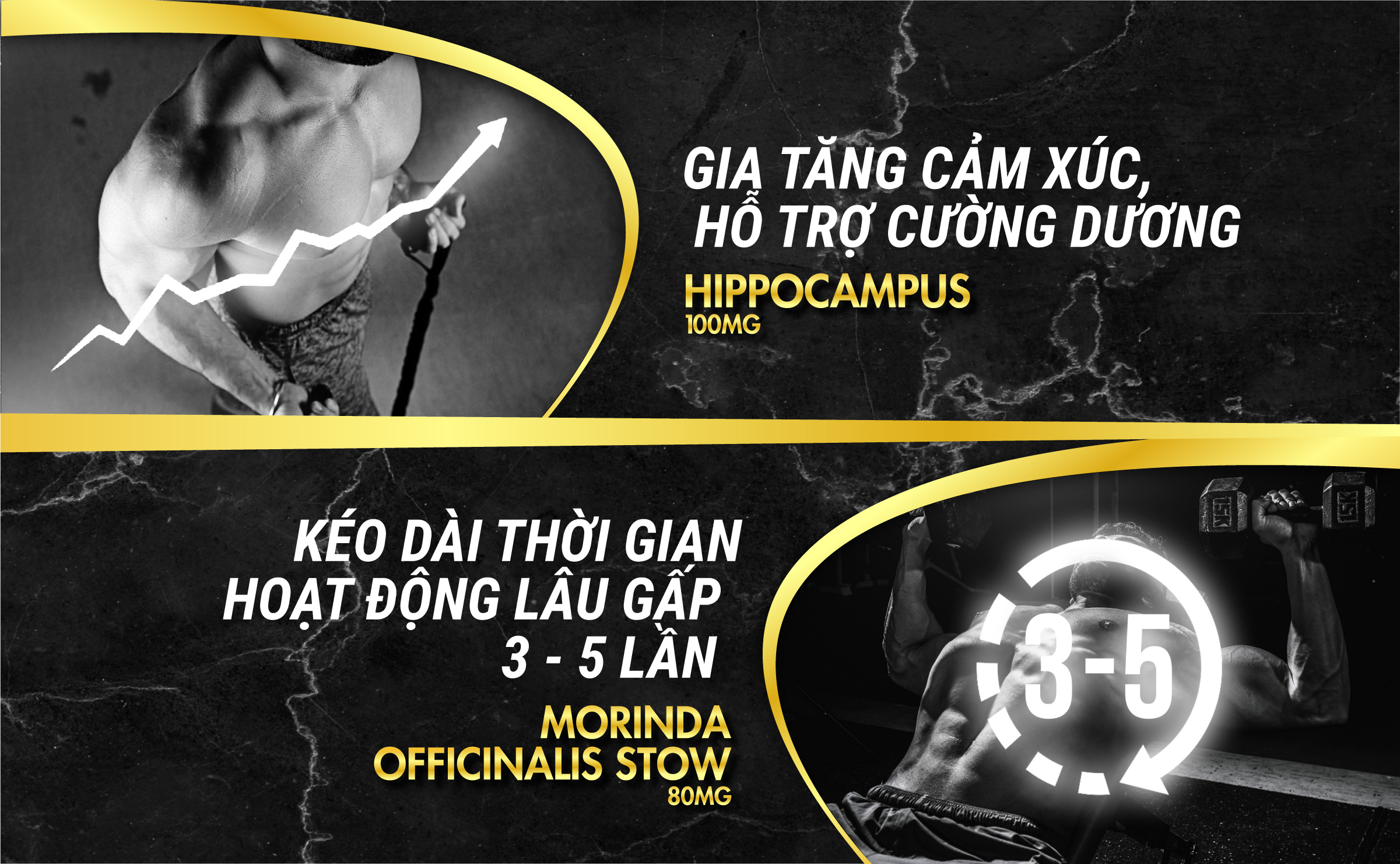 Viên uống phục hồi và tăng cường sức khỏe sinh lý nam giới Powergra Rino - Vỉ dùng thử 1 viên