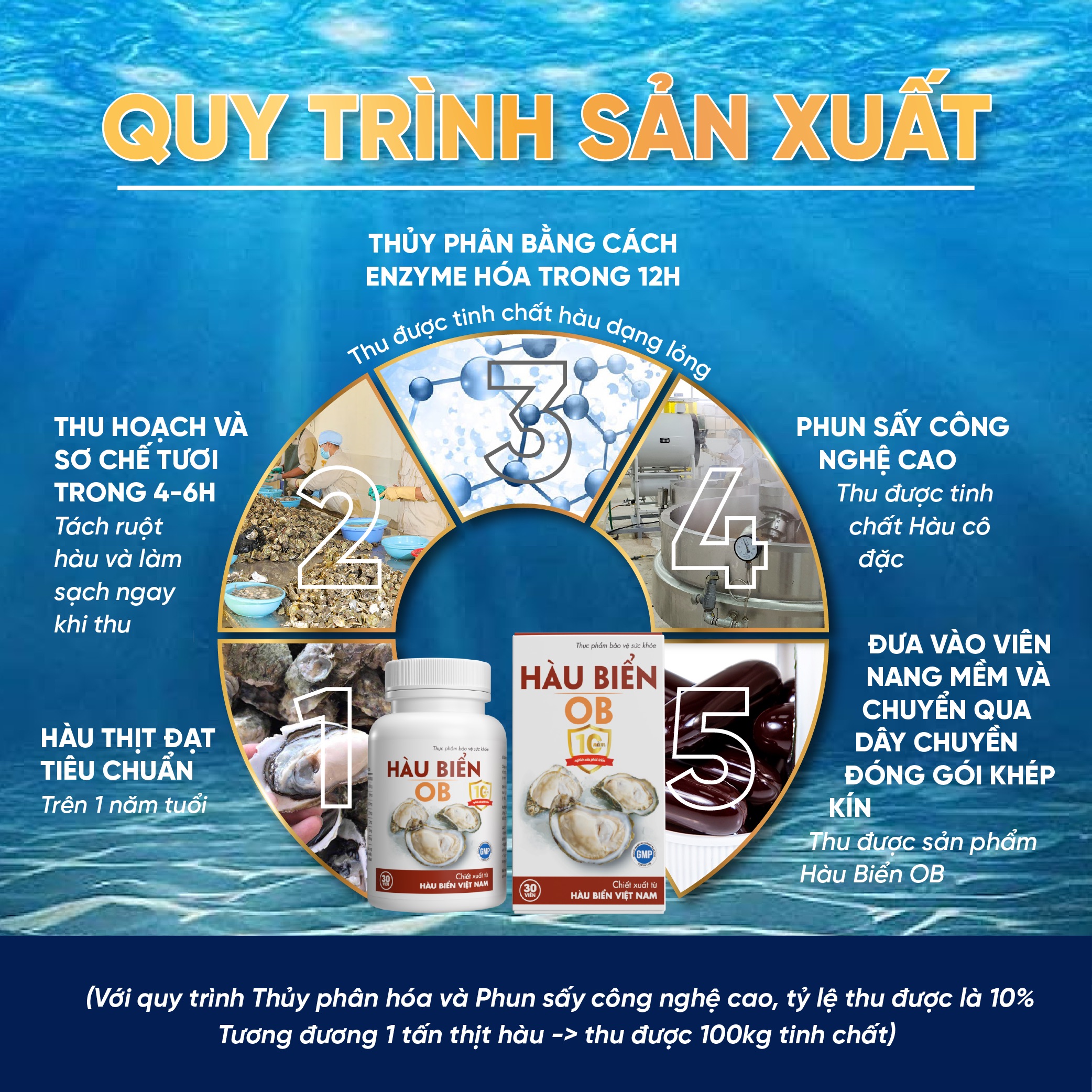 Thực Phẩm Chức Năng Tinh Hàu Biển OB - Tăng Cường Sinh Lý Nam Giới (Chai 30 viên)