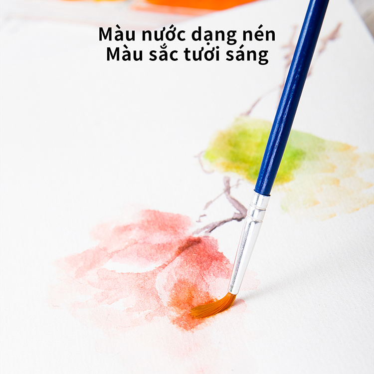 Hộp 12 Màu Nước Dạng Nén Deli 73868 - Màu Nước Dạng Nén Mỹ Thuật