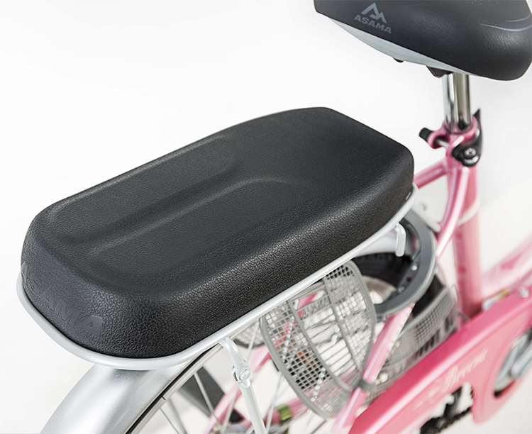 Xe Đạp Thời Trang Asama CLD BR 2402