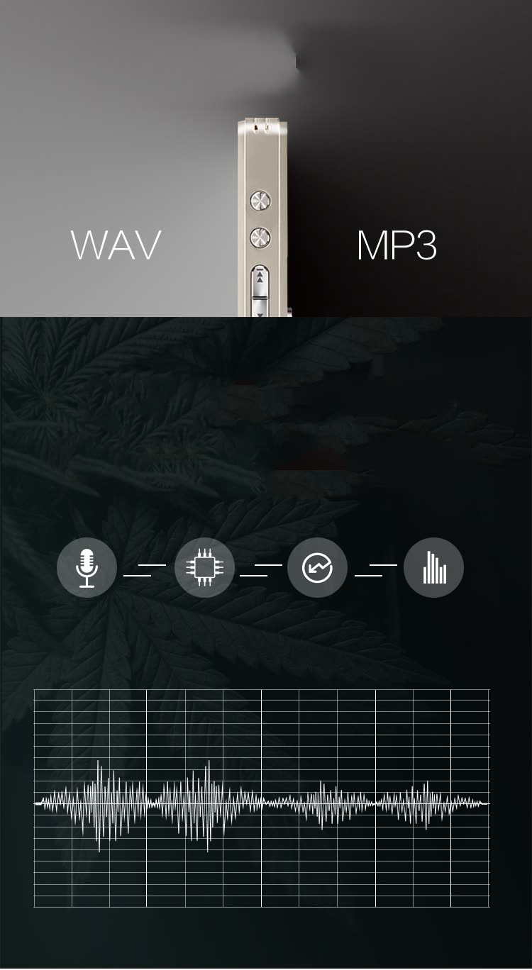 Landscape (SANSUI) Recorder H-612 8G Professional Recorder Micro Learning Conference HD Noise Reduction mp3 Silver Landscape (SANSUI) Recorder H-612 8G Professional Recorder Micro Learning Conference HD Noise Reduction mp3 Silver